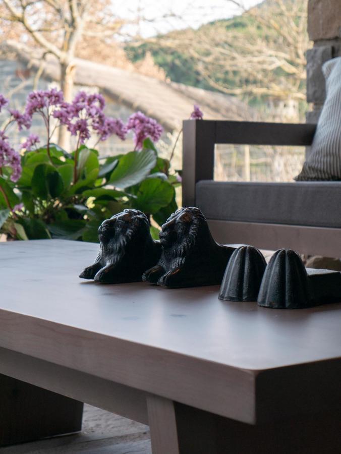 Chalet Aracancias Borrastre